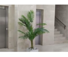 Piso en Venta en Cádiz, Cádiz