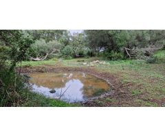 Finca rustica en Venta en El Algarrobico, Cádiz