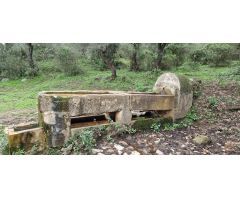 Finca rustica en Venta en El Algarrobico, Cádiz
