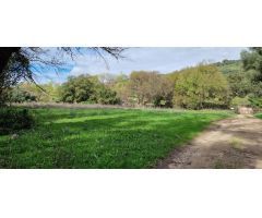 Finca rustica en Venta en El Algarrobico, Cádiz