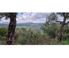 Finca rustica en Venta en El Algarrobico, Cádiz