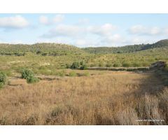 Finca de secano en la pedanía de Torremendo, Orihuela. 17.000 m2. de superficie.