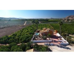 Finca de 9.480 m2. con Chalet de 495 m2. construidos en parcela de 1.000 m2. dentro de la finca.