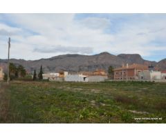 Parcela rústica en Orihuela, zona Ctra. de Beniel, 3.000 m2. de superficie.