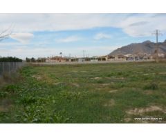 Parcela rústica en Orihuela, zona Ctra. de Beniel, 3.000 m2. de superficie.