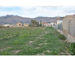 Parcela rústica en Orihuela, zona Ctra. de Beniel, 3.000 m2. de superficie.