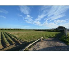 Terreno rústico en la pedanía de Molins en Orihuela, 4.400 m2. de superficie.
