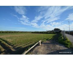 Terreno rústico en la pedanía de Molins en Orihuela, 4.400 m2. de superficie.