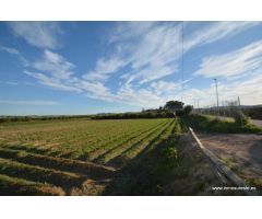 Terreno rústico en la pedanía de Molins en Orihuela, 4.400 m2. de superficie.