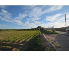 Terreno rústico en la pedanía de Molins en Orihuela, 4.400 m2. de superficie.