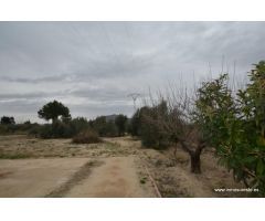 Terreno rural en Bigastro. Parcela de 3.500 m2. de superficie con casa de unos 91 m2.