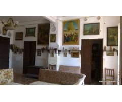 Finca de 12.441 m2 en Raiguero de Bonanza, pedanía de Orihuela (Alicante), a 2 Km. de Orihuela.