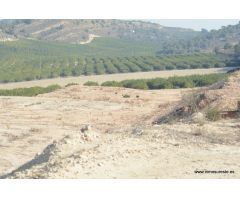 Finca rústica en la Dehesa de Pinohermoso de unos 115.000 m2. de superficie, con balsa para riego.