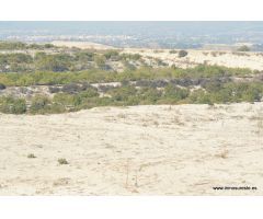 Finca rústica en la Dehesa de Pinohermoso de unos 115.000 m2. de superficie, con balsa para riego.