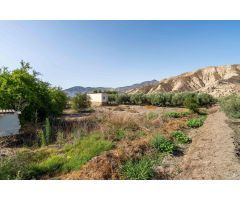 Terreno con Cortijo en Alsodux