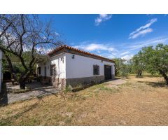 Casa con terreno en Venta en Fiñana, Almería