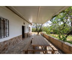 Casa con terreno en Venta en Fiñana, Almería