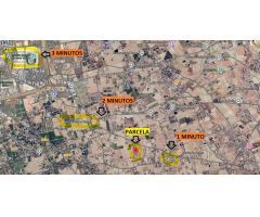 Terreno de 10.000m2 en perleta a 3 minutos de Elche donde podrás construir tu casa