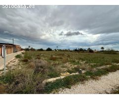 Terreno de 10.000m2 en perleta a 3 minutos de Elche donde podrás construir tu casa