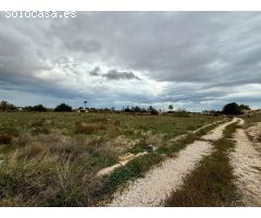 Terreno de 10.000m2 en perleta a 3 minutos de Elche donde podrás construir tu casa
