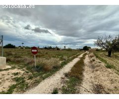 Terreno de 10.000m2 en perleta a 3 minutos de Elche donde podrás construir tu casa