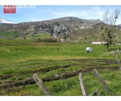 OPORTUNIDAD!! EN EL CORAZÓN DEL VALLE DE. SOBA