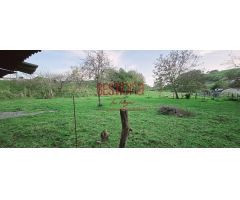 CASA PAREADA CON AMPLIA PARCELA PARA REFORMAR. BERANGA