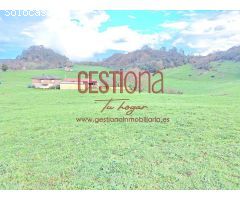 CASA CON EXTENSA PARCELA. HAZAS DE CESTO