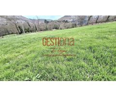 CASA EN RUINA MAS TERRENO. MATIENZO
