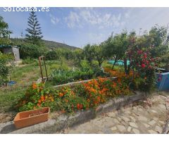 Chalet en Venta en La Torre Monserrat, Valencia