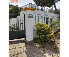 Finca de olivar con Cortijo y hermosa casa  en Priego de Córdoba lista para entrar a vivir