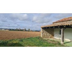 FINCA RUSTICA DE REGADÍO EN CUBILLAS DE SANTA MARTA (VALLADOLID)