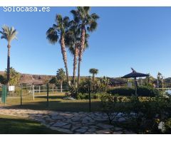 FINANCIACIÓN HASTA EL 100 % LOCAL COMERCIAL EN VENTA EN LAS LOMAS DE GUADALMINA