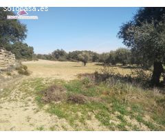 Se vende finca rústica 1.7 hectareas en Castillazuelo
