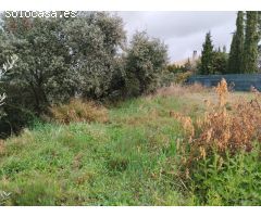 Se venden 2 parcelas en la Urbanizacion El Ariño de Barbastro