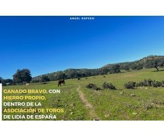Parcela en Venta en Linares de Villafurada, Jaén