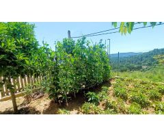 Chalet en Venta en Tordera, Barcelona