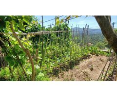 Chalet en Venta en Tordera, Barcelona
