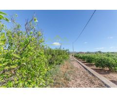 Ref. 04149 - Finca rústica de 18.300m2 con plantación de naranjos y caseta de aperos.