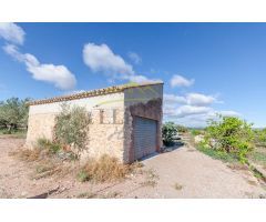 Ref. 04149 - Finca rústica de 18.300m2 con plantación de naranjos y caseta de aperos.