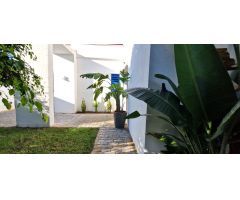 Chalet en Venta en Cartaya, Huelva