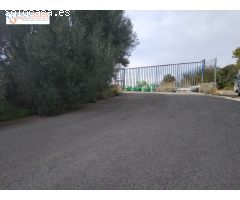 PARCELA DE DOS HANEGADAS EN PARTIDA LA COVA, VALL DUIXO
