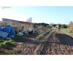 Conjunto de parcelas en Canet de Berenguer (zona gasolinera)