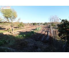 Conjunto de parcelas en Canet de Berenguer (zona gasolinera)