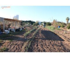 Conjunto de parcelas en Canet de Berenguer (zona gasolinera)