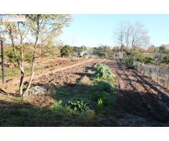 Conjunto de parcelas en Canet de Berenguer (zona gasolinera)