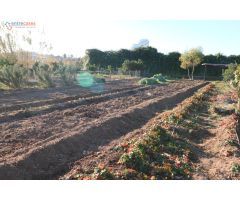 Conjunto de parcelas en Canet de Berenguer (zona gasolinera)