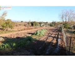 Conjunto de parcelas en Canet de Berenguer (zona gasolinera)