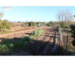 Conjunto de parcelas en Canet de Berenguer (zona gasolinera)