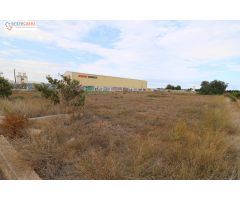 TERRENO RURAL EN SAGUNTO